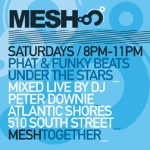 meshback