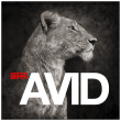 AVID